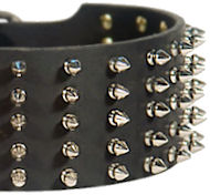 3 inch Spiked Leather Dog Collar for Cane Corso